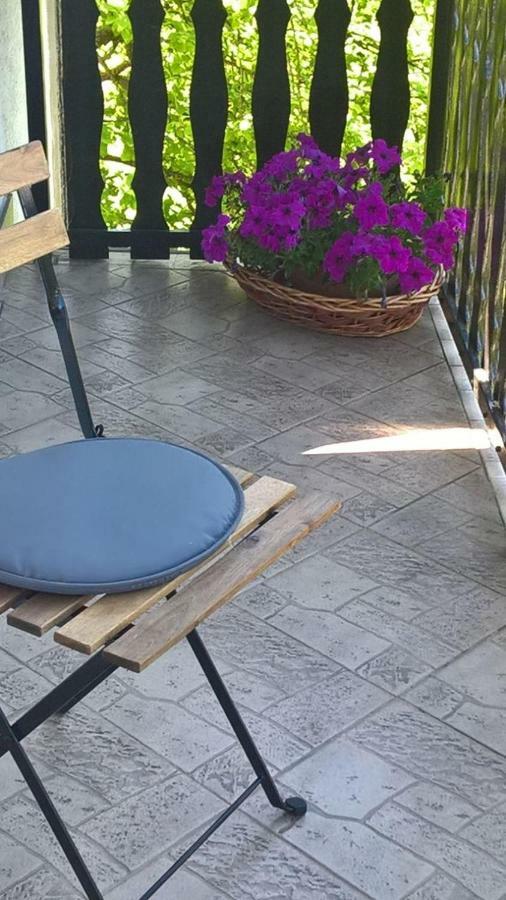 Apartman Ruzica Ogulin Luaran gambar